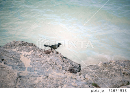 Rocks on the shore of the sea Rocks on the shore of the sea 71674958