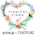 トロピカル　パーツ　ベクターフレーム 71675182
