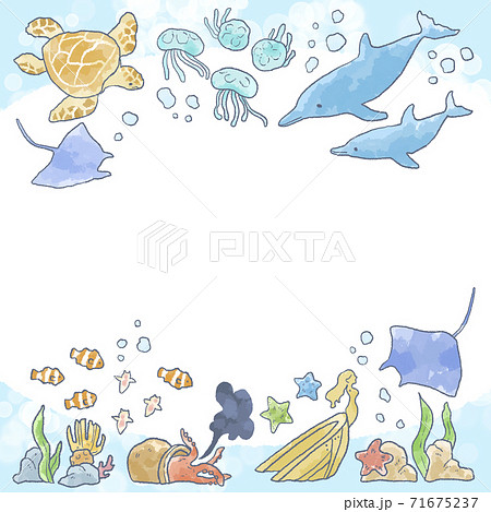 優しいタッチの海の生き物イラストフレームのイラスト素材 [71675237