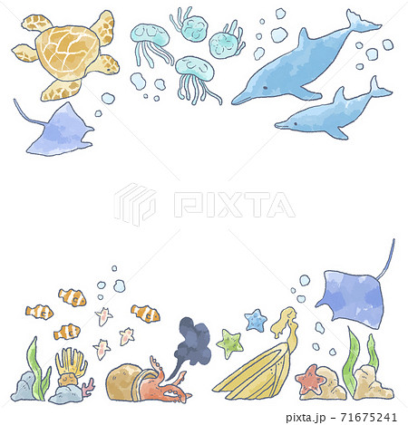 優しいタッチの海の生き物イラストフレームのイラスト素材
