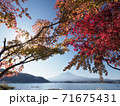 紅葉の富士山と河口湖 71675431