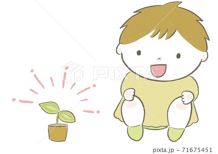 野菜を育てる子供 野菜を育てる子供 71675451