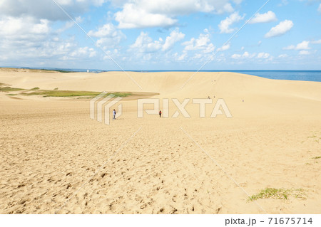 鳥取砂丘 71675714