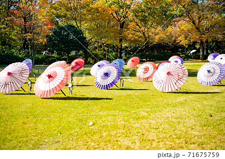 日本伝統の和傘 71675759