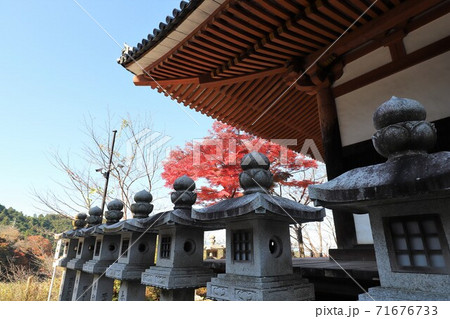 奈良県 壷阪寺の紅葉 奈良県 壷阪寺の紅葉 71676733