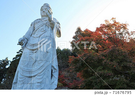 奈良県　壷阪寺の紅葉 71676795