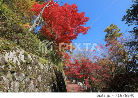 奈良県　吉野山の紅葉 71676940