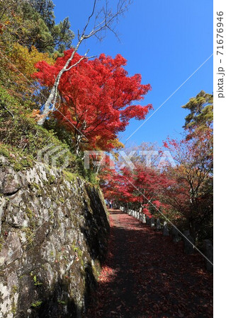 奈良県　吉野山の紅葉 71676946
