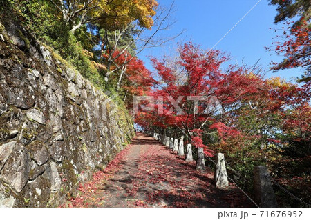 奈良県 吉野山の紅葉 奈良県 吉野山の紅葉 71676952