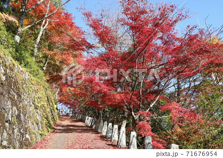 奈良県 吉野山の紅葉 奈良県 吉野山の紅葉 71676954