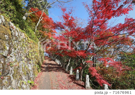 奈良県 吉野山の紅葉 奈良県 吉野山の紅葉 71676961