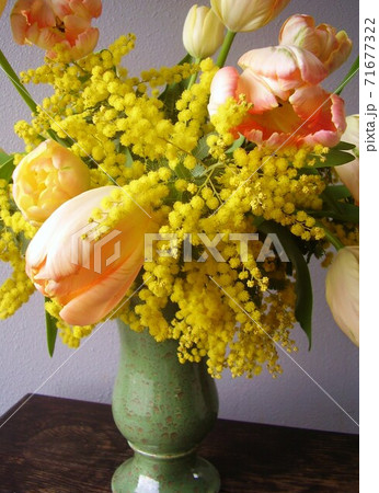ミモザとチューリップ 71677322