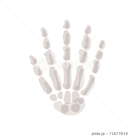 Human hand bones; Hand drawn vector illustration like woodblock print 71677619