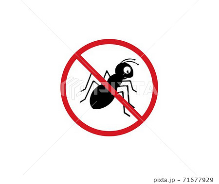 Ant Logo template 71677929
