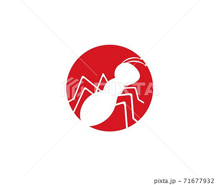 Ant Logo template 71677932