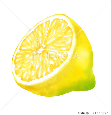 水彩イラスト レモン 半分のイラスト素材
