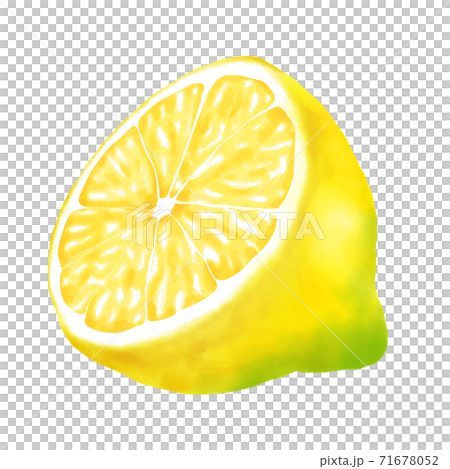 水彩イラスト レモン 半分のイラスト素材