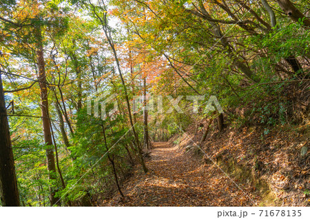 愛宕神社から水尾への登山道（11月の京都・愛宕山） 71678135