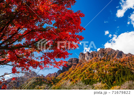 群馬県 紅葉する妙義山 妙義山パノラマパークから撮影 上毛三山 の写真素材 群馬県 紅葉する妙義山 妙義山パノラマパークから撮影 上毛三山 の写真素材