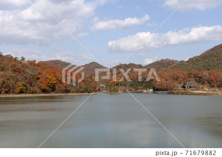 兵庫県三田市の有馬富士公園の秋 兵庫県三田市の有馬富士公園の秋 71679882