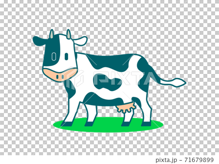 Cattle illustrations 71679899