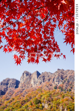 【群馬県】紅葉する妙義山・妙義山パノラマパークから撮影〈上毛三山〉 【群馬県】紅葉する妙義山・妙義山パノラマパークから撮影〈上毛三山〉 71679934
