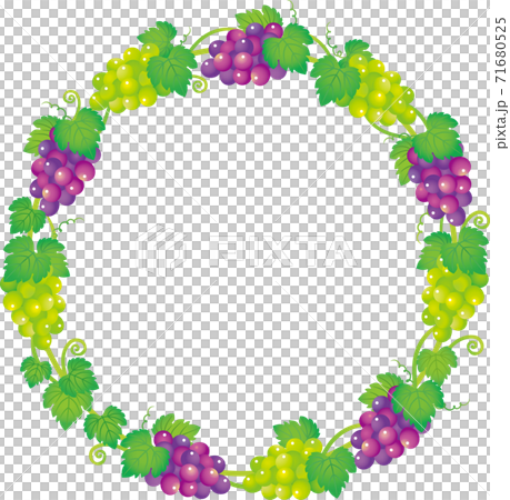 ぶどうのリース グラデーションのイラスト素材 [71680525] - PIXTA