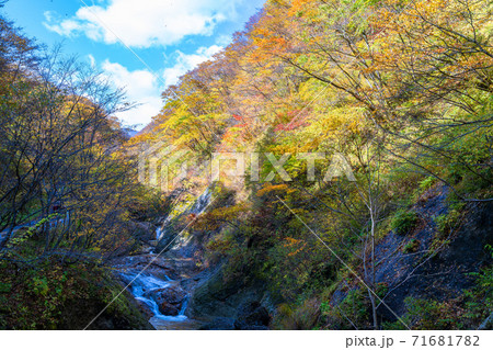 二口峡谷の秋 71681782