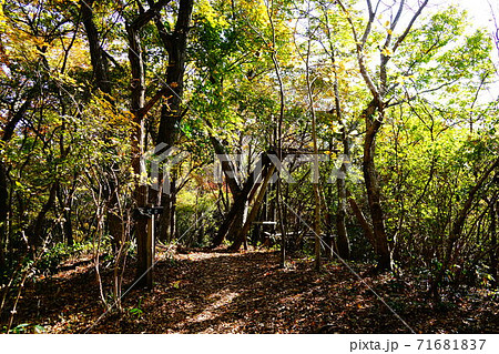 益子 雨巻山 展望台 益子 雨巻山 展望台 71681837