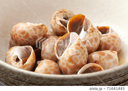 バイ貝の煮付け バイ貝の煮付け 71681883