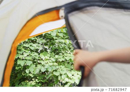 Boys (4-5) hand opening tent door 71682947