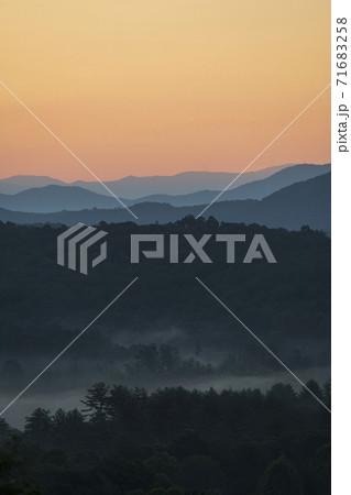 USA, Georgia, Blue Ridge Mountains and forest covered with fog at sunrise USA, Georgia, Blue Ridge Mountains and forest covered with fog at sunrise 71683258