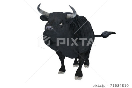 Black bull isolated on white background 3d illustration 71684810