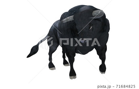 Black bull isolated on white background 3d illustration 71684825