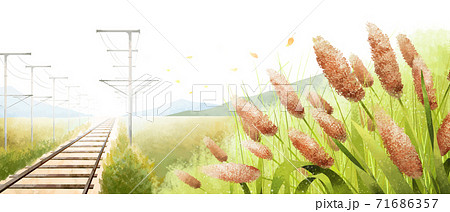 Beautiful Autumn Landscape In Park Illustration のイラスト素材