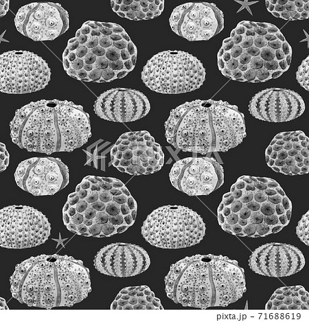 Beautiful vector seamless underwater pattern with watercolor sea urchin. Stock illustration. Beautiful vector seamless underwater pattern with watercolor sea urchin. Stock illustration. 71688619