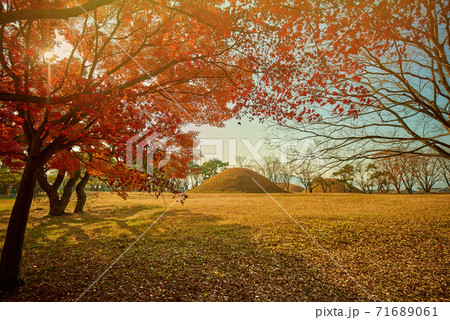 秋 木 公園 71689061