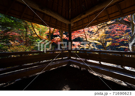 昇仙峡の秋 昇仙峡の秋 71690623