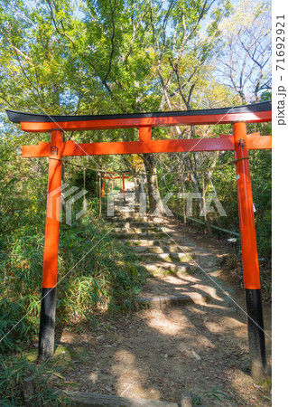 交野山山頂へ向かう登山道の鳥居（大阪府・交野山） 71692921