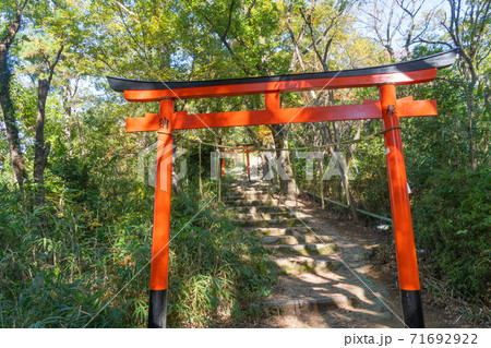 交野山山頂へ向かう登山道の鳥居（大阪府・交野山） 71692922