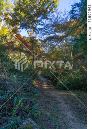 くろんど園地の登山道（大阪府民の森くろんど園地） 71692941
