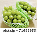 シャインマスカット 71692955