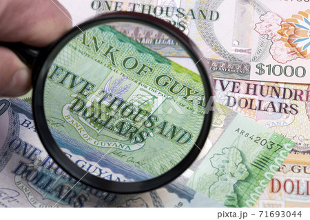 Guyanese money in a magnifying glass 71693044