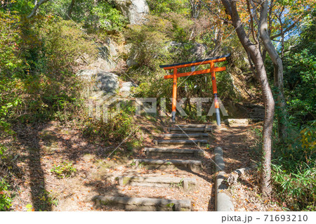 交野山山頂へ向かう登山道の鳥居（大阪府・交野山） 71693210