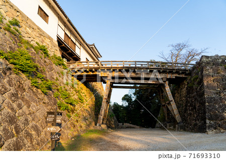 【滋賀県】 彦根城 秋 【滋賀県】 彦根城 秋 71693310