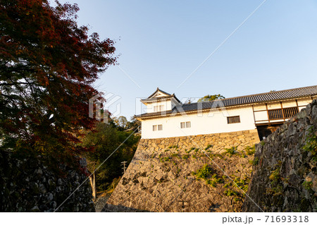 【滋賀県】 彦根城 秋 【滋賀県】 彦根城 秋 71693318