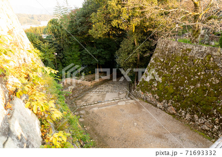 【滋賀県】 彦根城 秋 【滋賀県】 彦根城 秋 71693332
