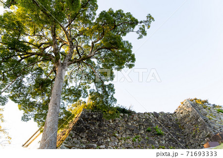 【滋賀県】 彦根城 秋 【滋賀県】 彦根城 秋 71693333