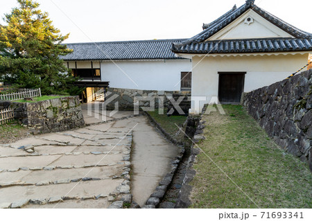 【滋賀県】　彦根城　秋 71693341