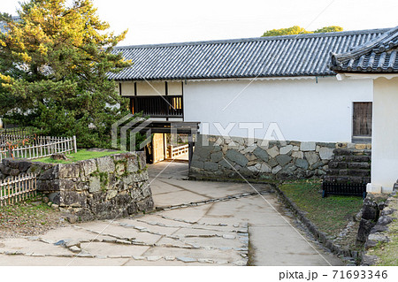 【滋賀県】　彦根城　秋 71693346